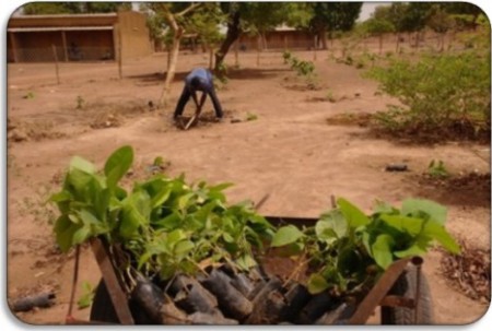 ARTICOLO TRATTO DA ADI-AID